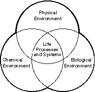 Life processes diagram