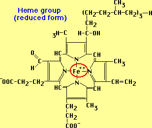 heme reduced form