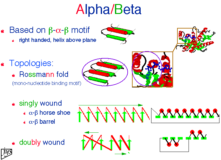 beta alpha beta motif