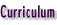 Curriculum